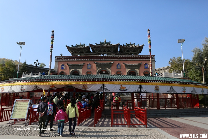 IMG_9286.jpg