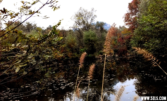 IMG_20141115_093219-1.jpg