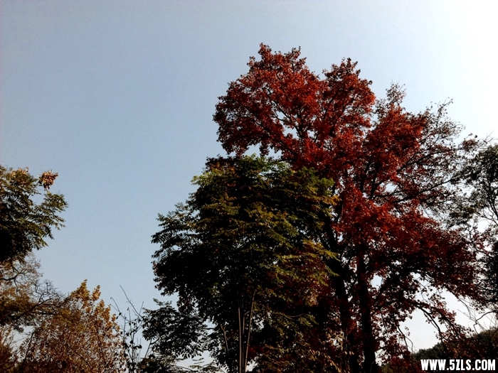 IMG_20141122_132005-1.jpg