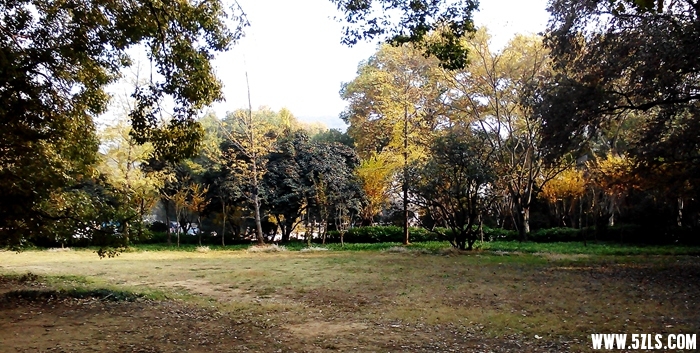 IMG_20141122_143901.jpg