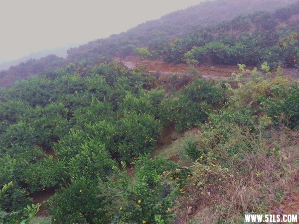 20141126_170933_.jpg