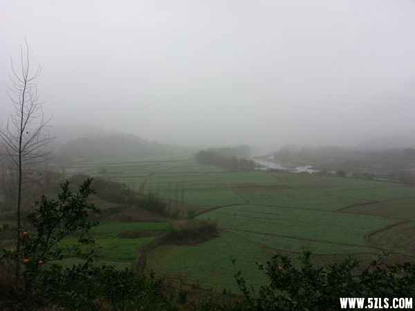 20141127_090056_.jpg
