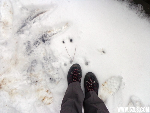 DSC01983_.jpg