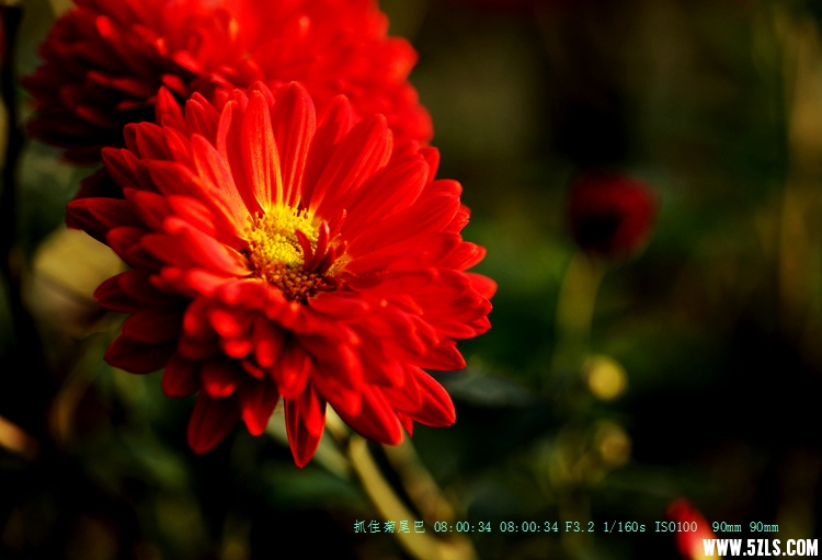 IMG_5678_.jpg