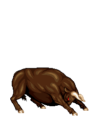00014.gif