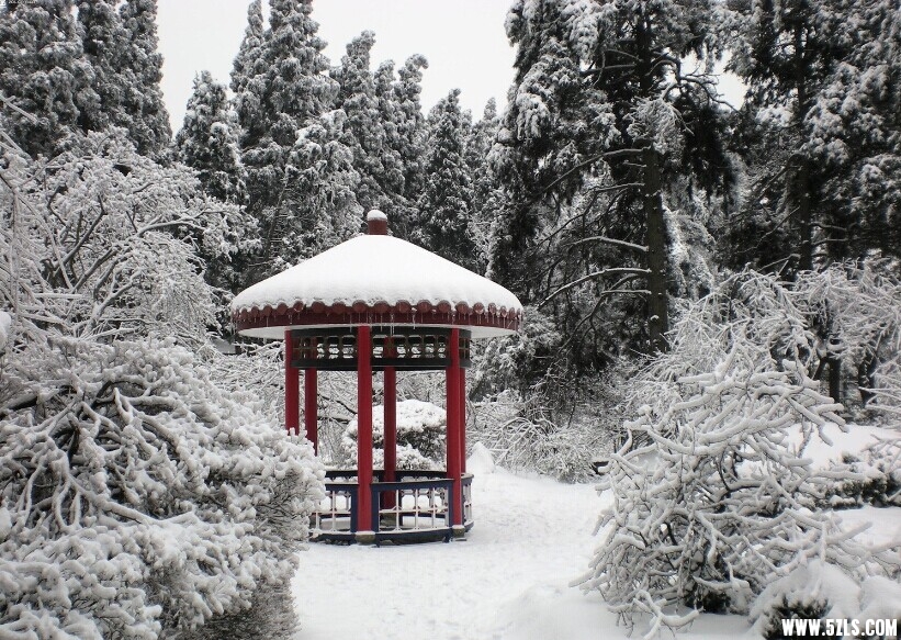 QQͼƬ20141213150019.jpg