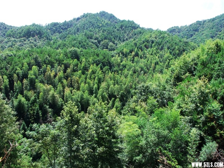 DSCF2711.JPG