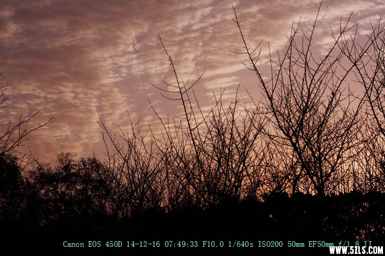 Canon EOS 450D01.jpg
