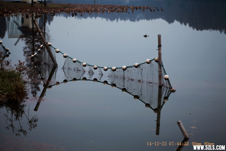 Canon EOS 5D Mark II02.jpg