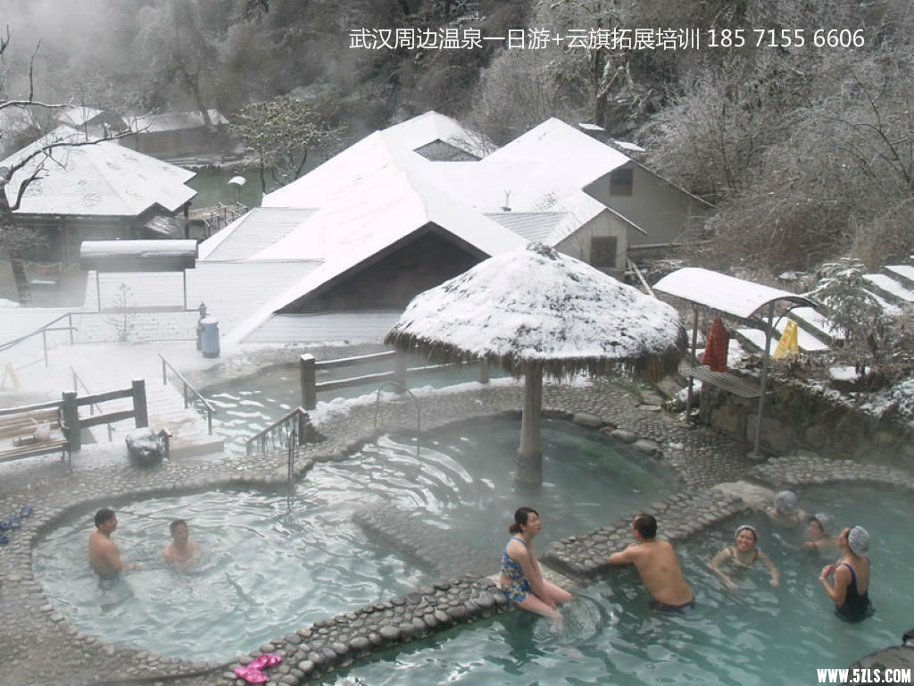 20121129.jpg