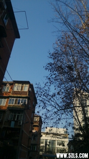 165416h9ga61jvhraa7qkg.jpg