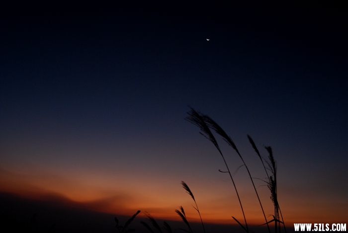 DSC_4741.JPG