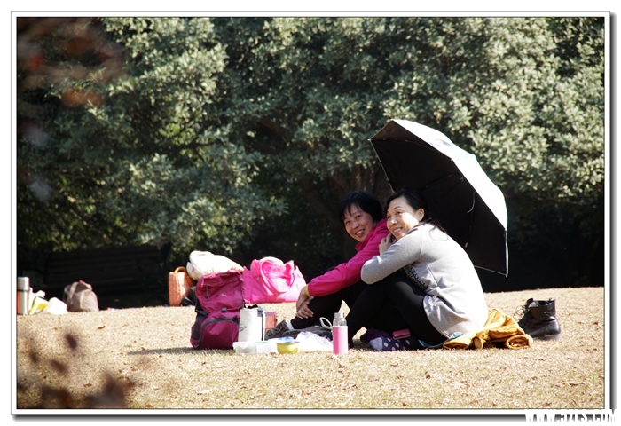 IMG_8213.jpg