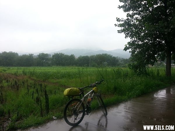 20140717_110750_.jpg