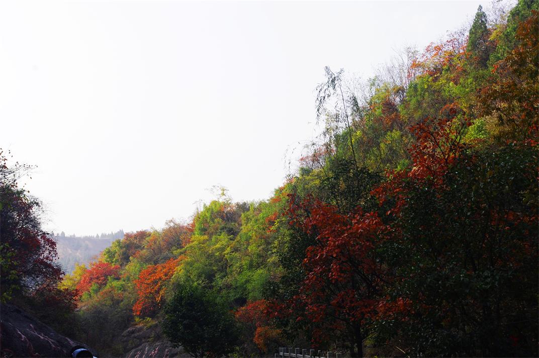 _igp8615_.jpg