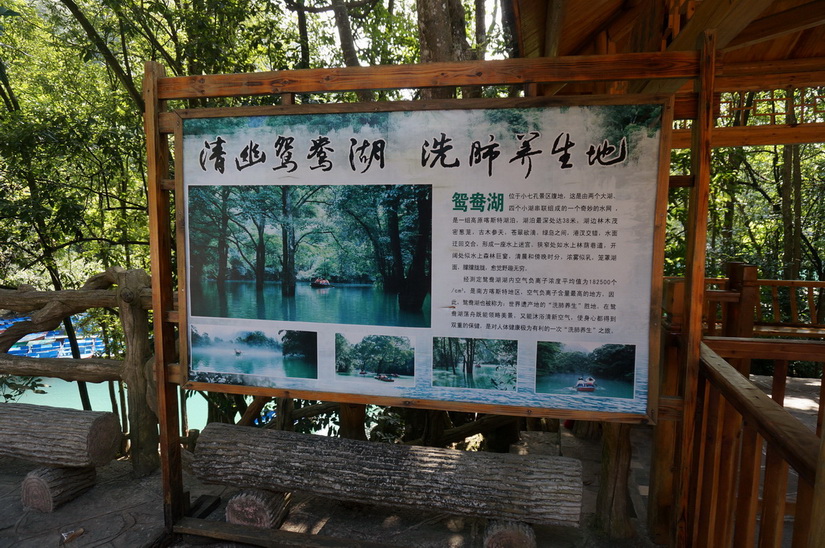 dsc04502.jpg