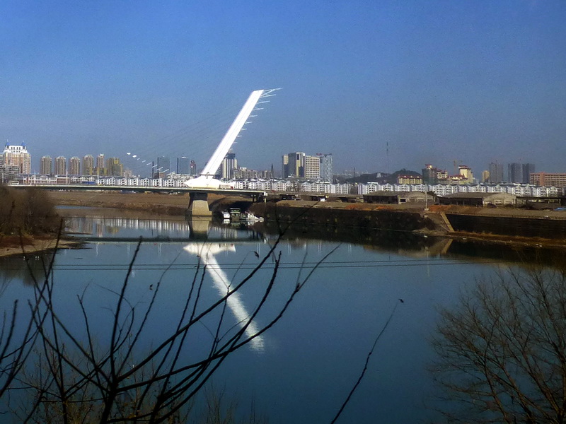 p1310380.jpg