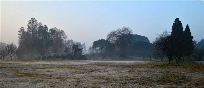 dsc_5809_.jpg
