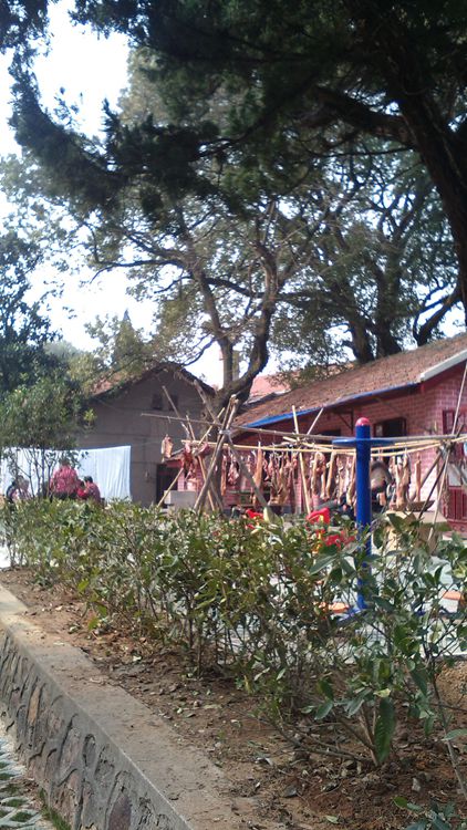 img_20150110_133652.jpg