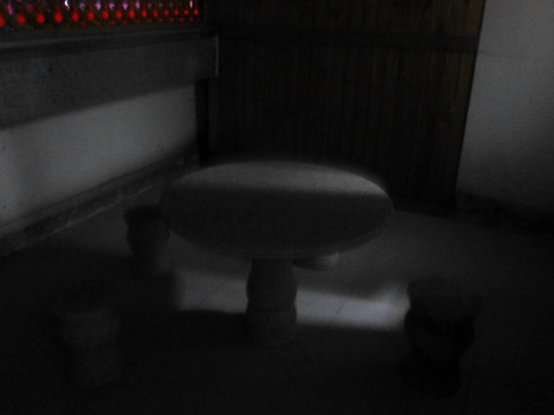 p1310617.jpg