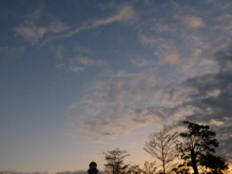 p1310633.jpg