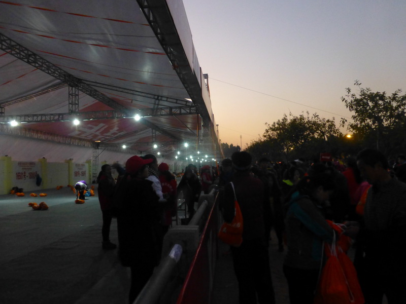 p1310637.jpg