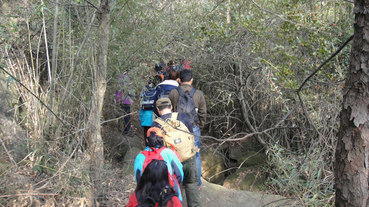 dsc02014.jpg