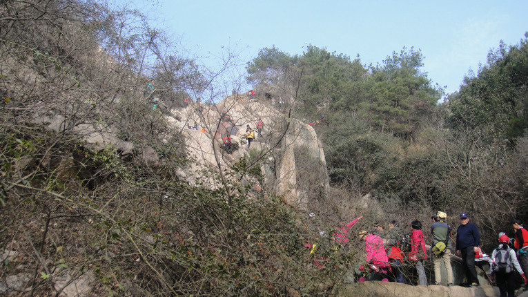 dsc02031.jpg