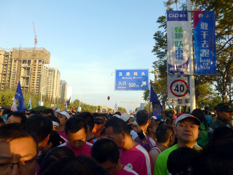 p1310645.jpg