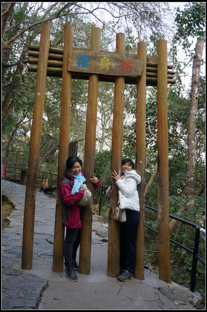 dsc06925.jpg