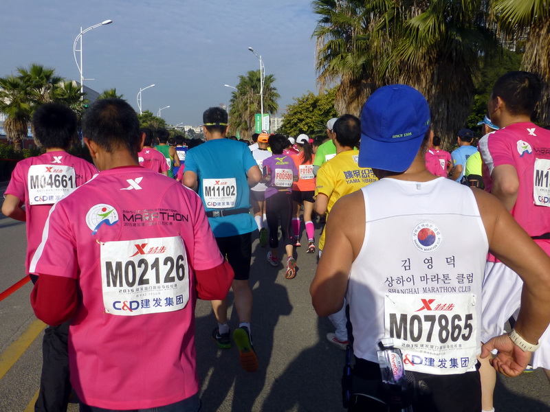 p1310677.jpg