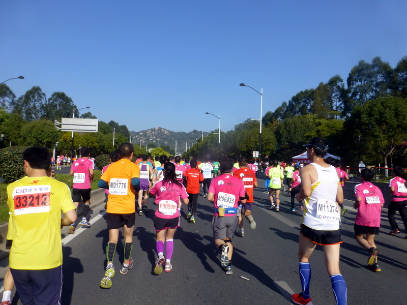 p1310688.jpg