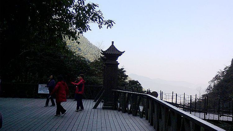 img_20141224_103529.jpg