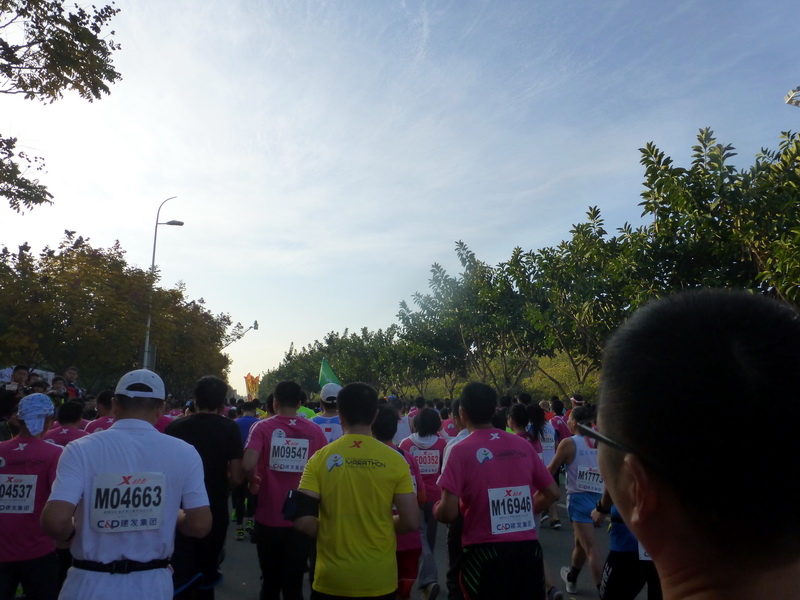 p1310659.jpg