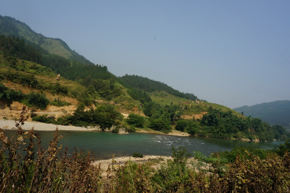 dsc04786.jpg