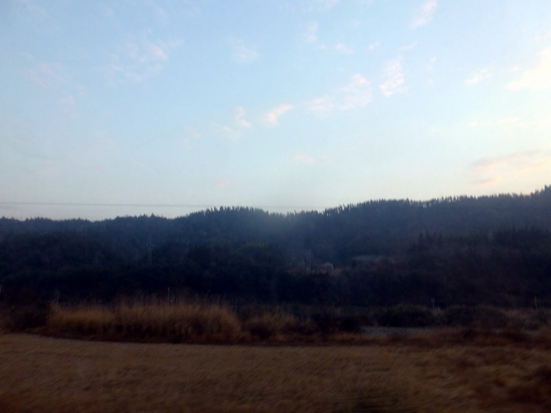 p1310792.jpg
