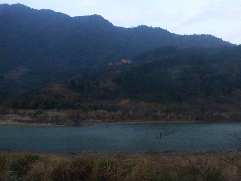 p1310797.jpg