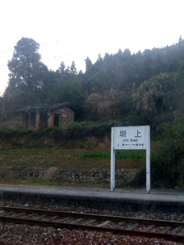 p1310799.jpg
