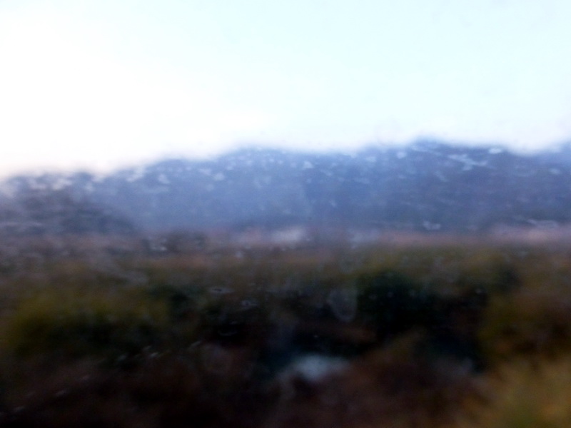 p1310801.jpg