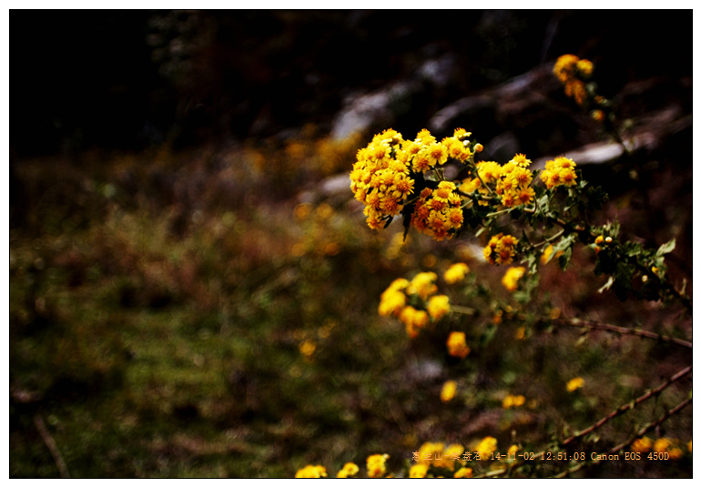 _mg_7790_.jpg