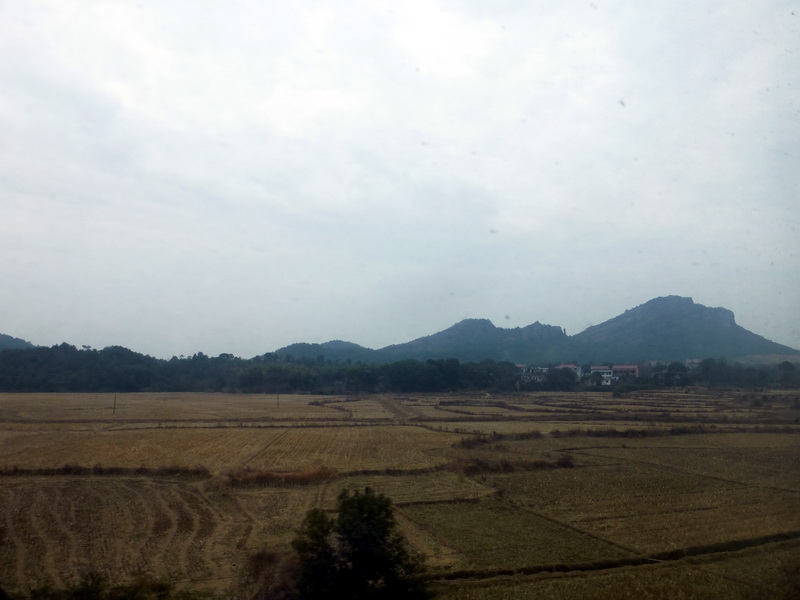 p1310840.jpg
