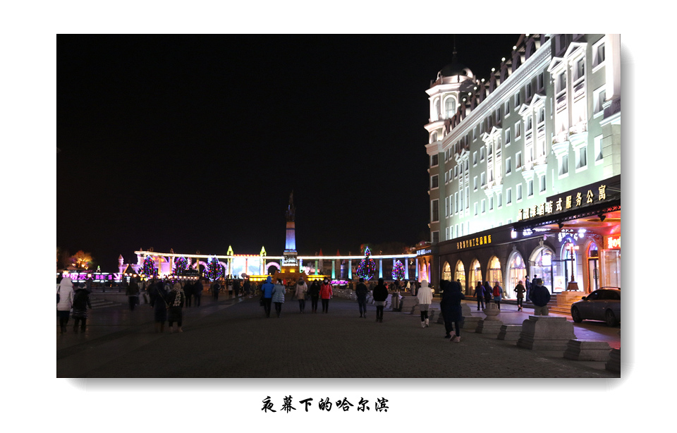 img_4731_.jpg