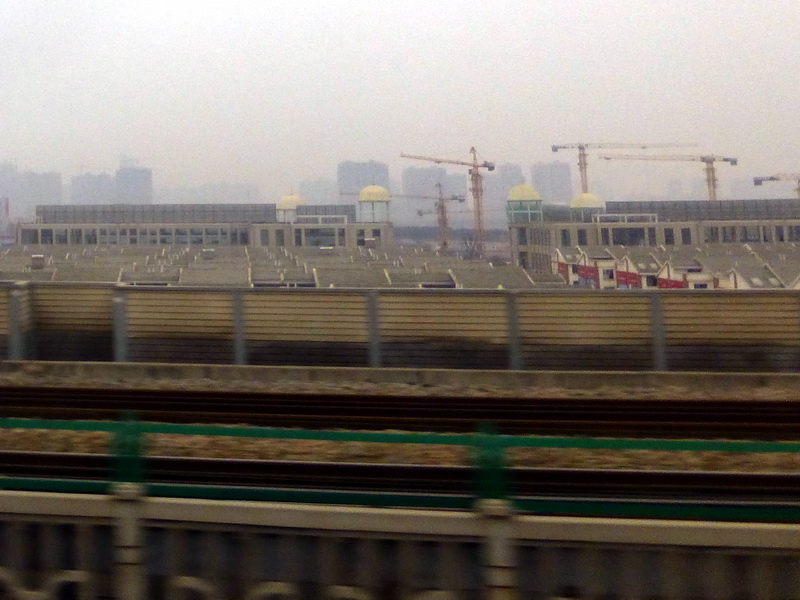 p1310855.jpg