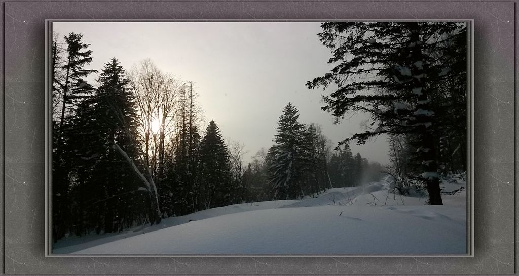 20150109_142635_.jpg