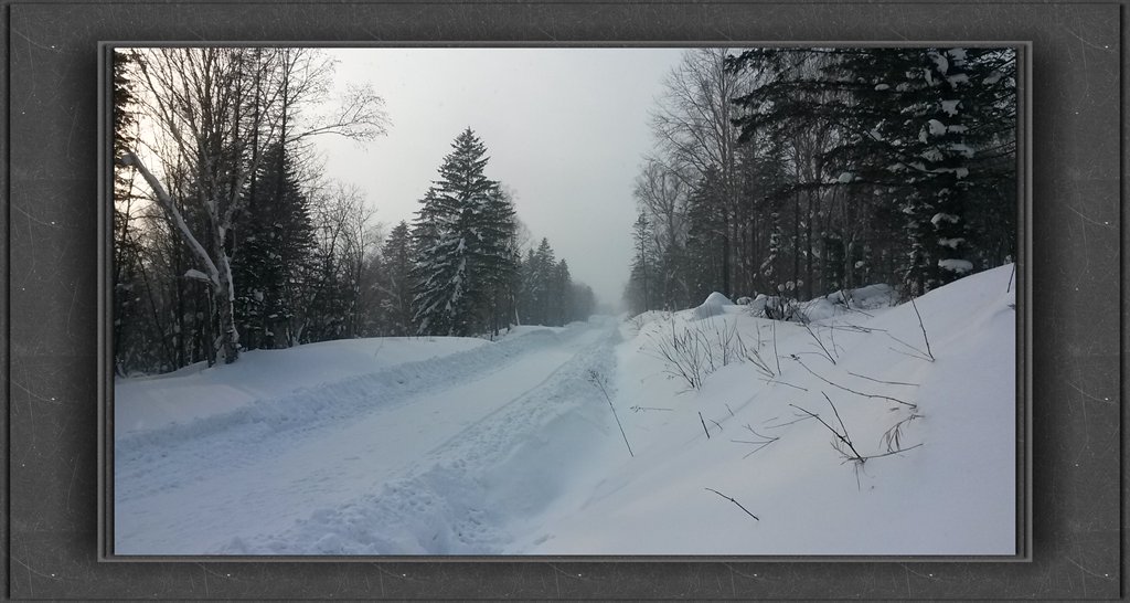 20150109_142830_.jpg