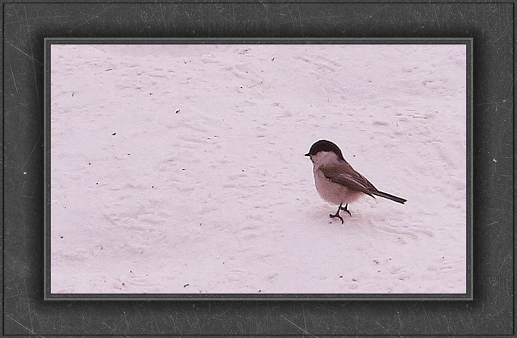 bw3p0281_.jpg
