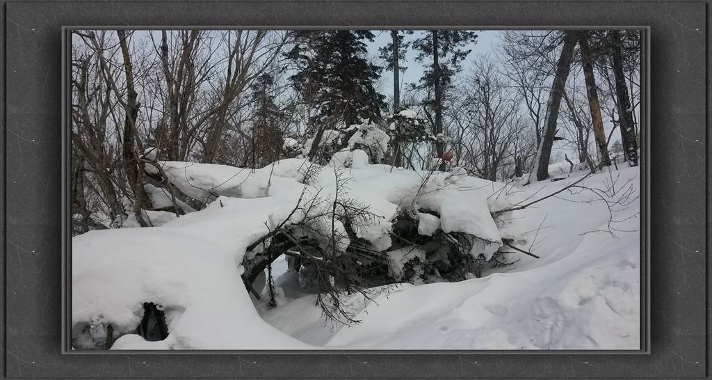 20150109_123653_.jpg
