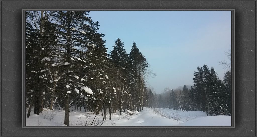 20150109_142655_副本.jpg