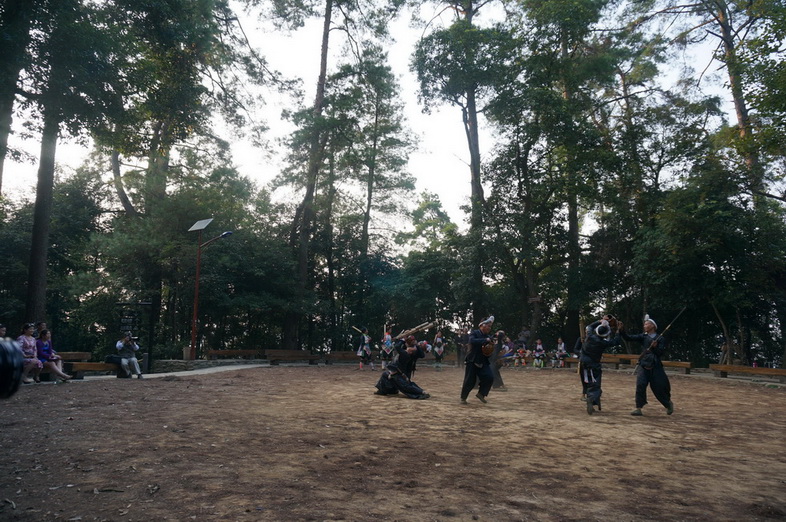 dsc04847.jpg