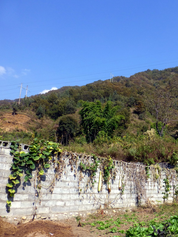p1280200.jpg